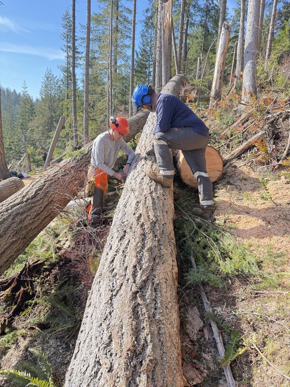 look at log.jpg look at log.jpg