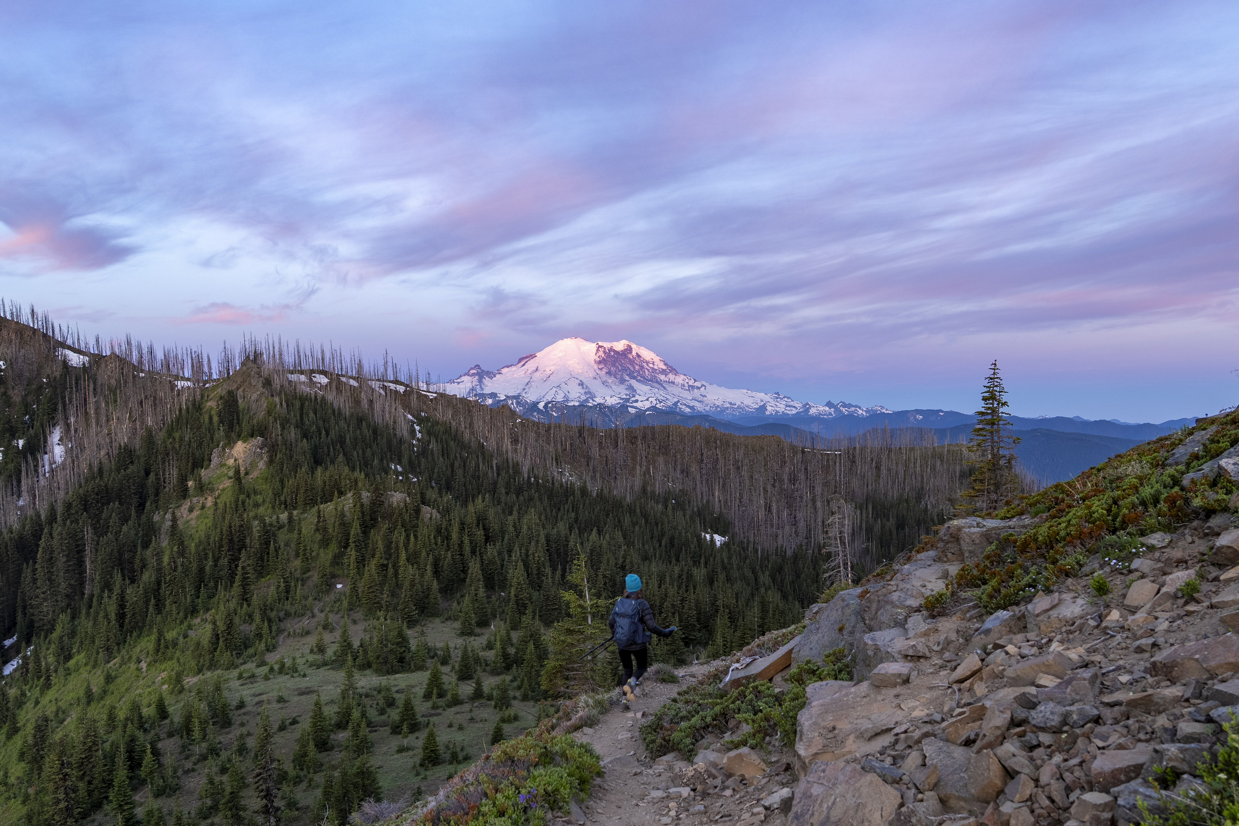 Photo of mount rainer with colorful sunset behind an trail and trees in the foreground.