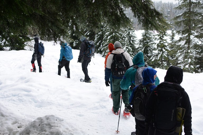 A group of WTA snowshoers round a corner on trail.