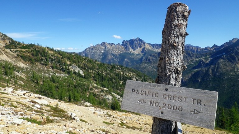 A PCT sign in a national forest.