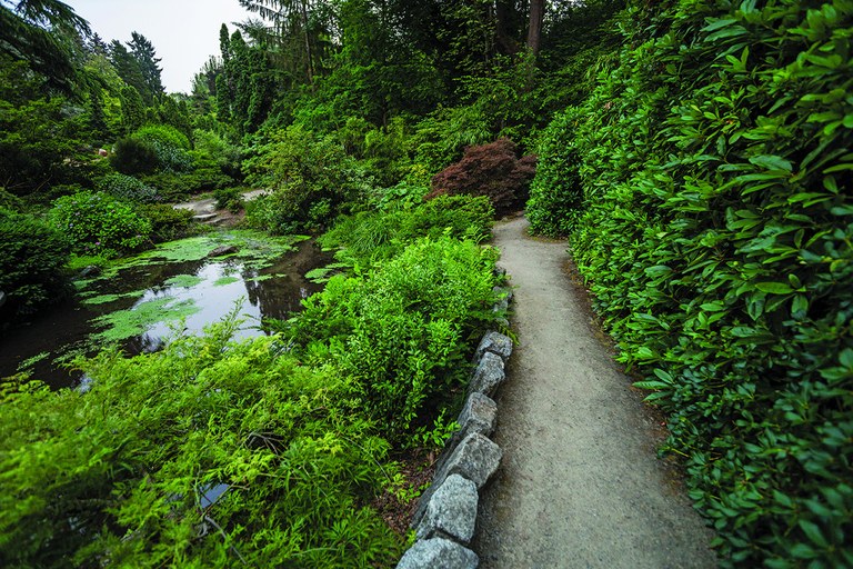 arboretum small.jpg