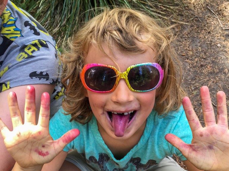 Berry stains. Photo by Susan Elderkin.