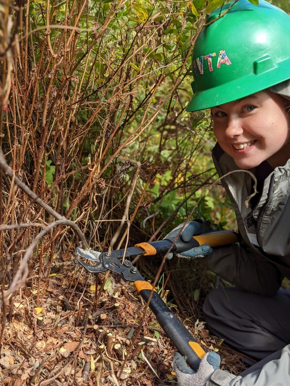 Anna leans down with loppers in her arm, ready to cut back some overgrowth along the trail.