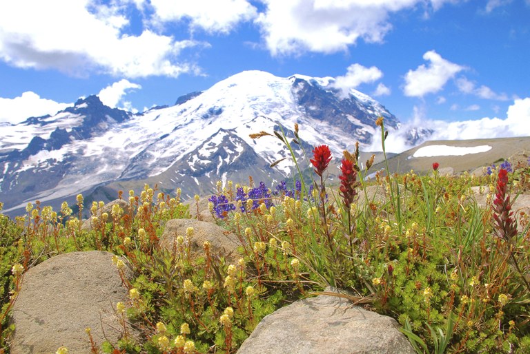 Burroughs. Photo by Rachel Emmans. burroughs rachel emmans.jpg