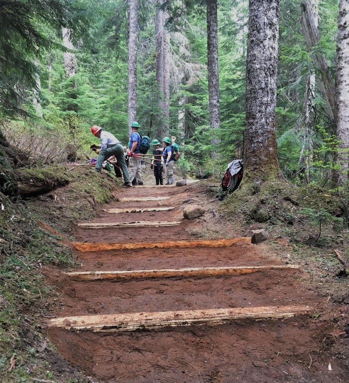 A series of check steps along the Carter Falls section of the Wonderland Trail.