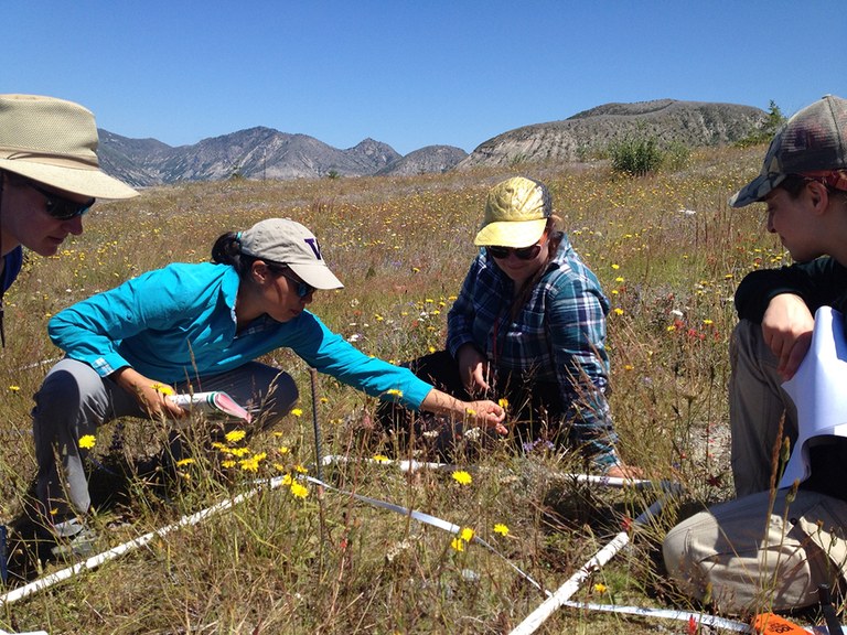 A group of researchers looks at a square vegetation plot. 