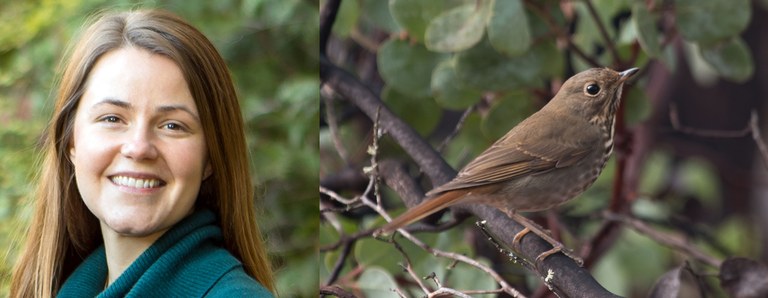 Charley Wilkinson. Photo by Mick Thompson. Hermit thrush. Photo by Peter Pearsall/U.S. Fish and Wildlife Service.