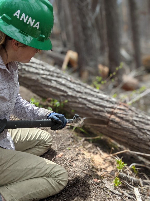 Anna sawing out a log