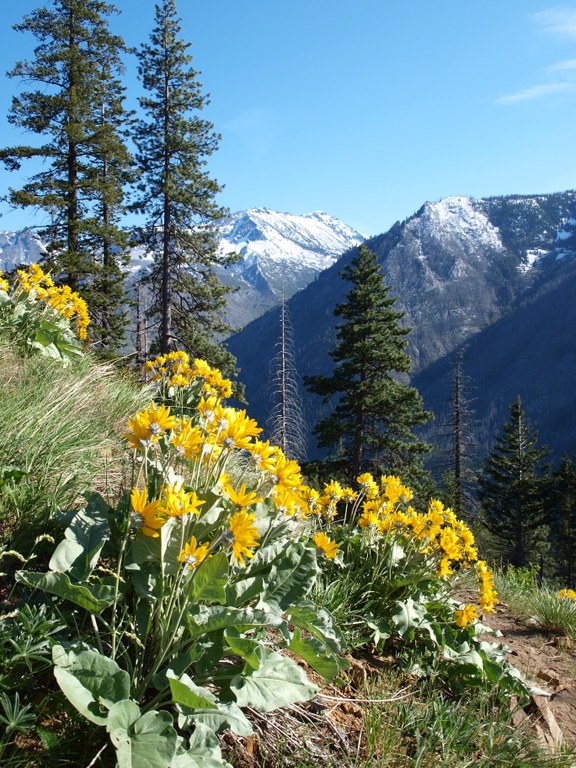Fourth of July Creek. Photo by Doug Kirschner.