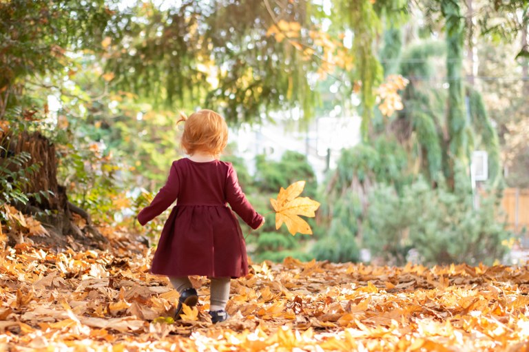 hutt park Thomas Bergeron.jpg hutt park Thomas Bergeron.jpg