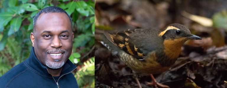 Joey Manson. Photo by Mick Thompson. Varied thrush. Photo by Peter Pearsall/U.S. Fish and Wildlife Service.