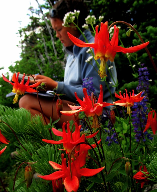 Hiker journaling on trail A hiker kneels on trail near a patch of wildflowers to write in their journal.