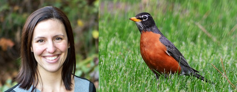 Marina Pita. Photo by Mick Thompson. American robin. Photo by Courtney Celley/U.S. Fish and Wildlife Service.