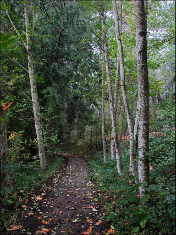 may valley Francis Bacon.jpg