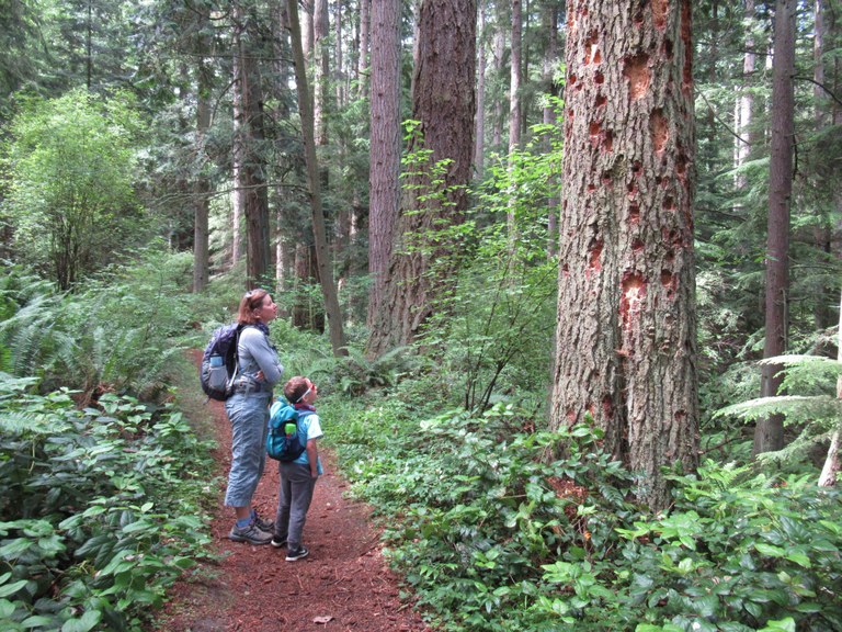 Enjoying a quiet trail at Deception Pass.