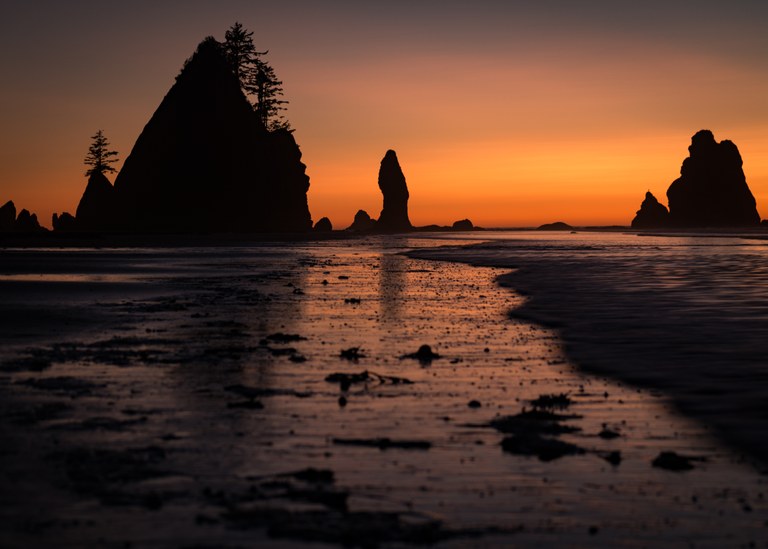 Shi Shi Beach. Photo by Keith LaPlante.
