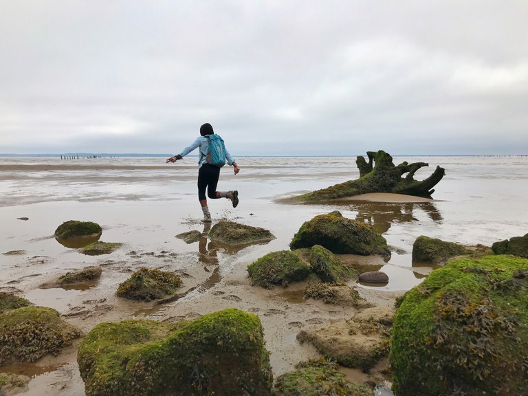 shon't_10.jpeg shon't_10.jpeg