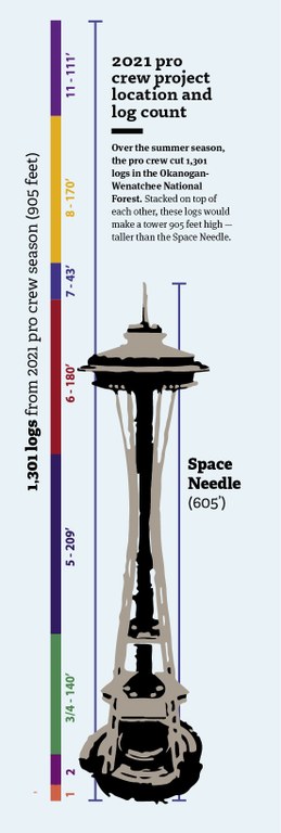 space needle ginevra moore (1).jpg