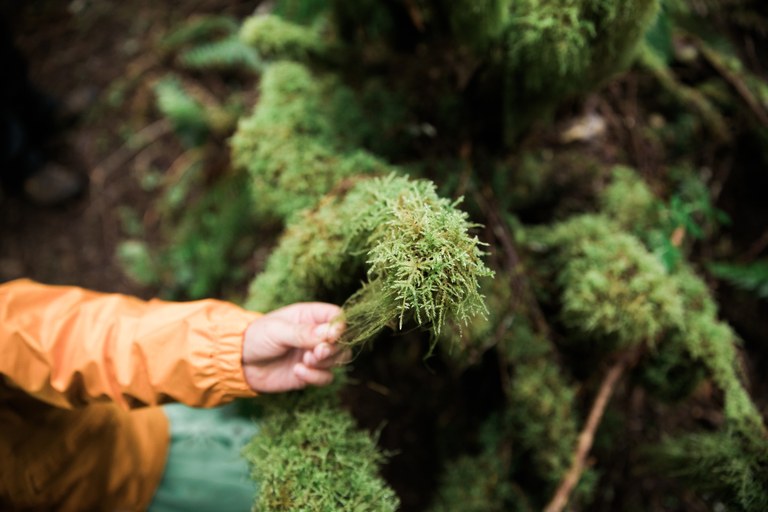 Trail magic. Photo by Andrea Laughery.jpg