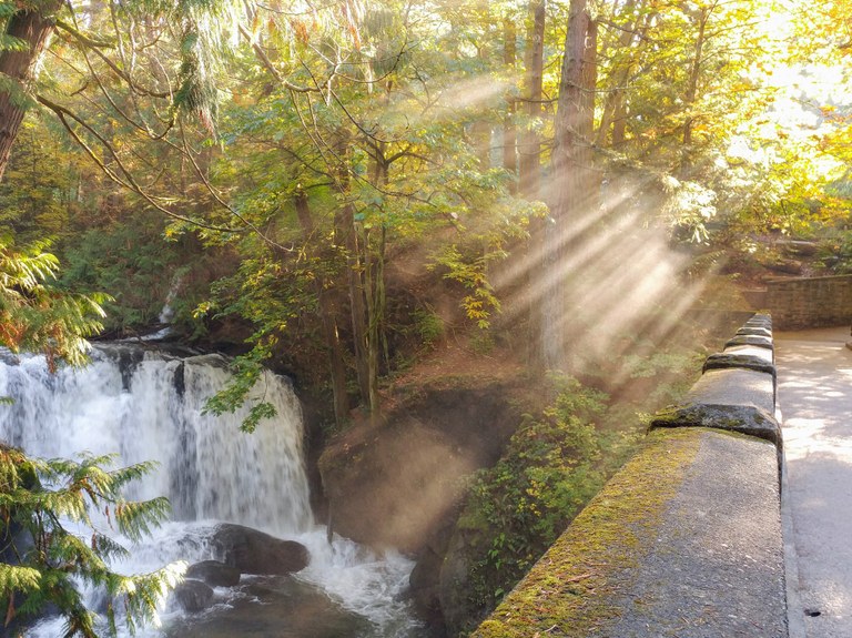 Sun shining at Whatcom Creek