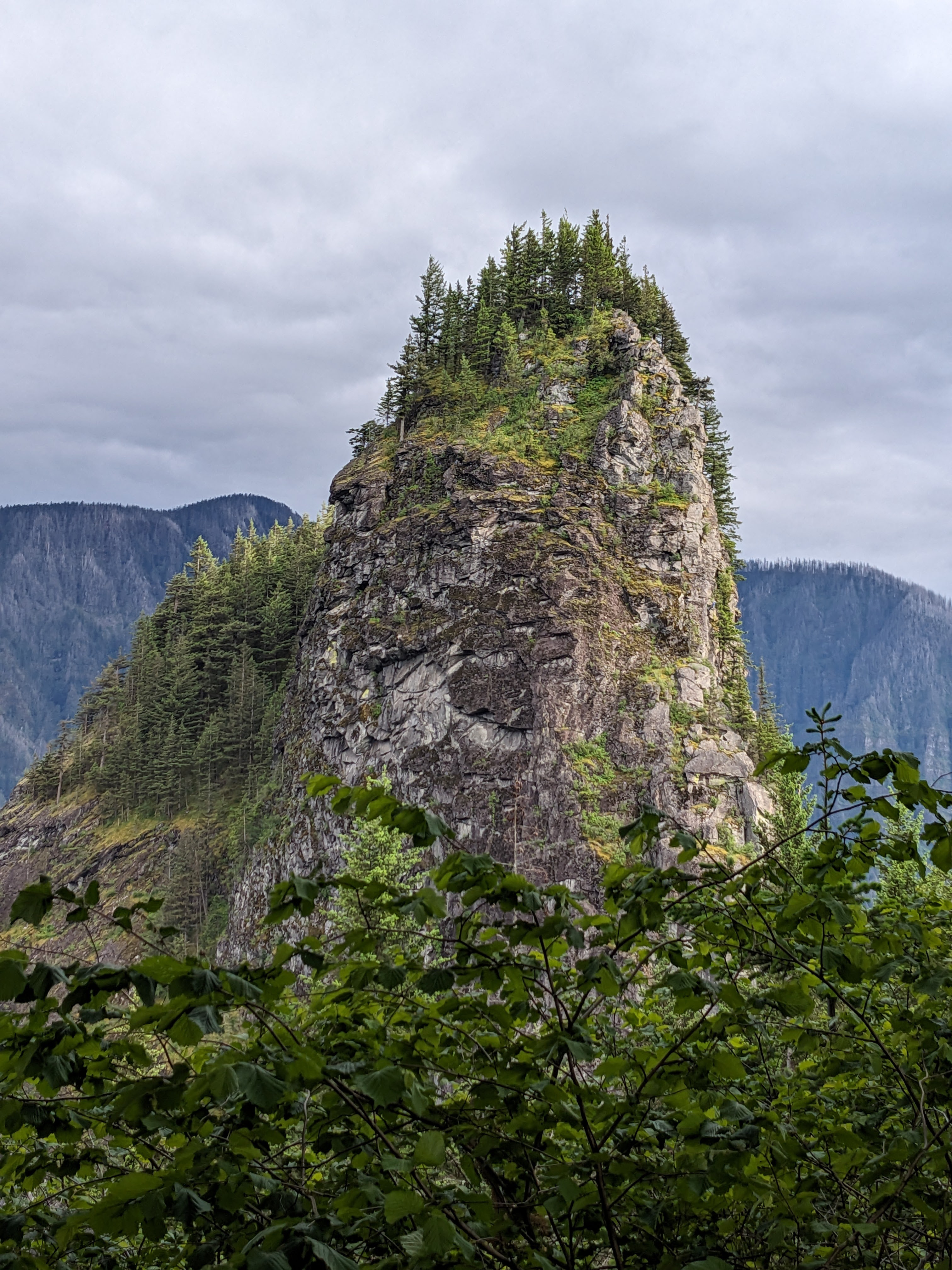 Large rock juts out from evergreen landscape. Trees on top of large rock face. Grey skies and mountains in background.