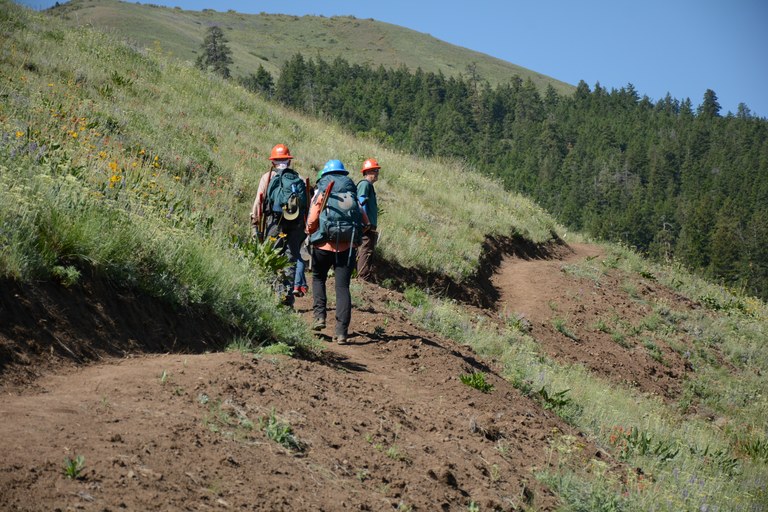 WTA volunteers walk to a work site at Manastash Ridge. This trail uses reverse grade, which helps water flow off and preserves the life of the trail. Photo by Anna Roth Trail maintainers walk along a grassy hillside.