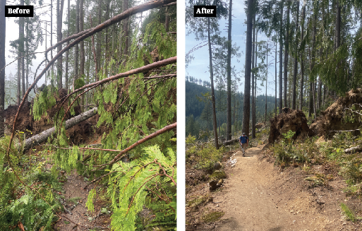 Screenshot 2025-12-19 145743.png Before and after of fallen trees on trail.