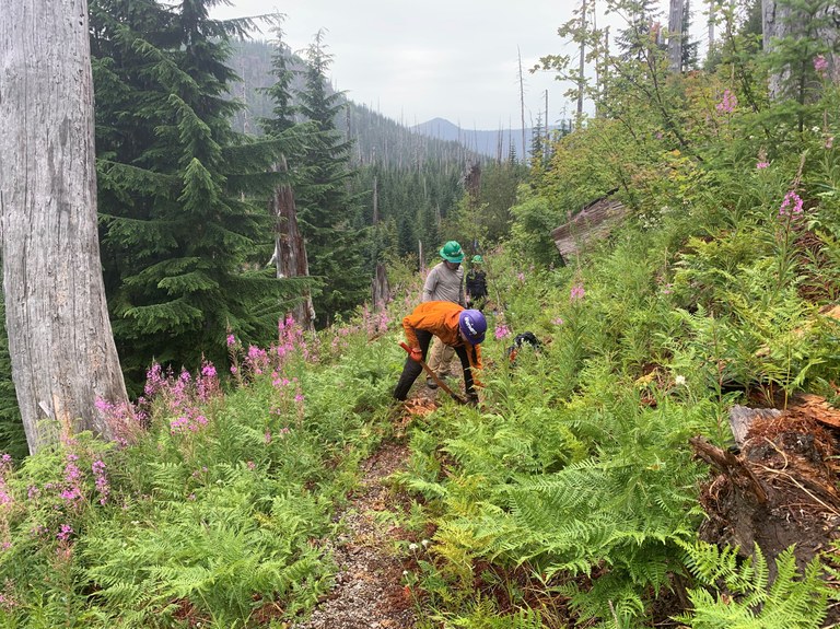 A backcountry response team. Photo by Stasia Honnold. A backcountry response team works on brushing. Photo by Stasia Honnold.