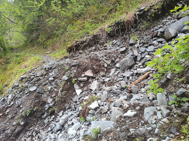A washed out section of trail, full of mud and rocks.
