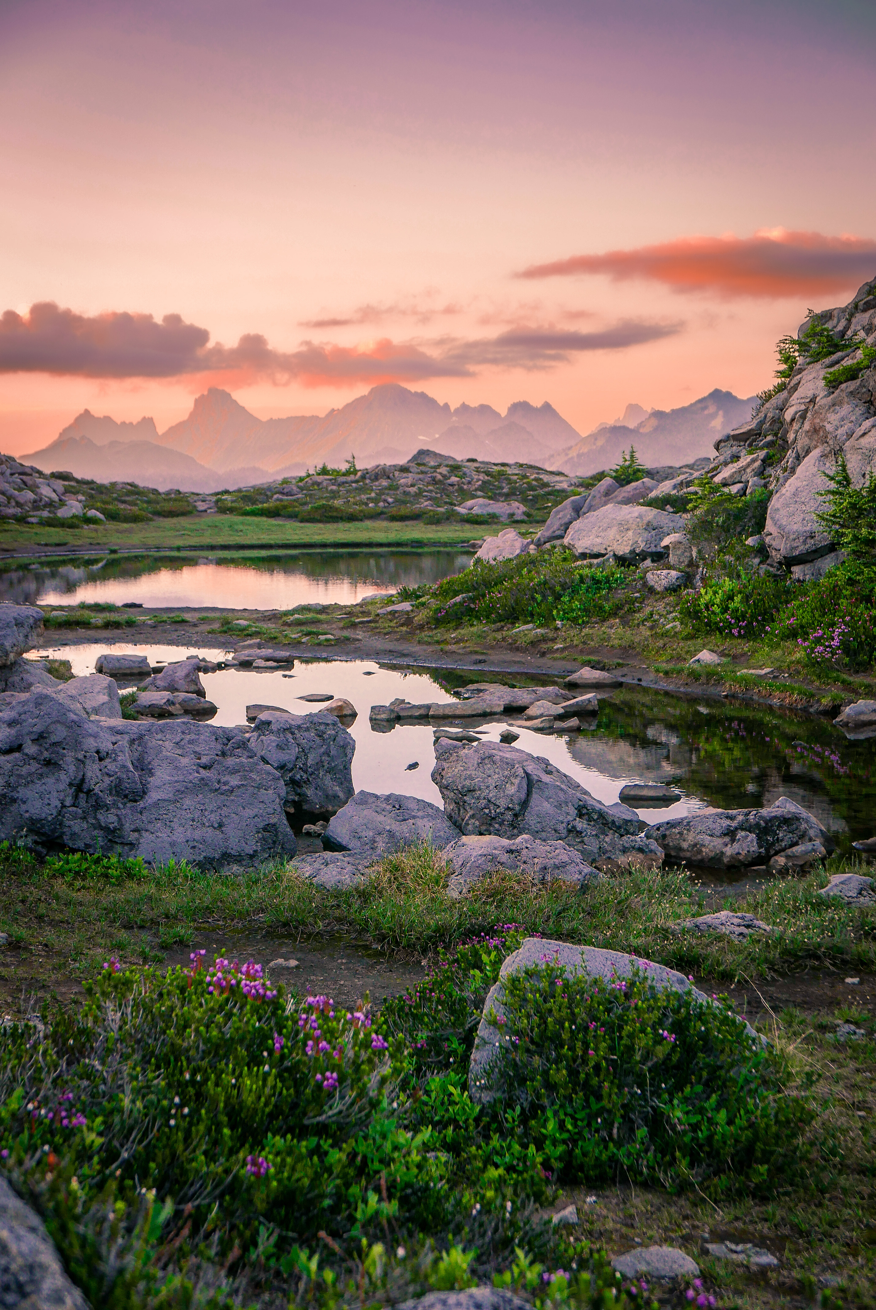 A lush alpine boulder field with green grass, purple flowers, and small ponds. Pink sunset with purple mountains in the background. 