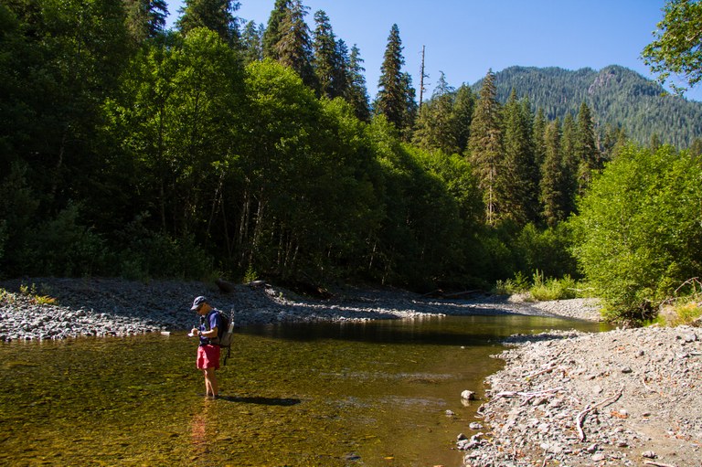 Craig Romano stands in the West Fork of the Humptulips River. He is taking notes for his hiking guide.