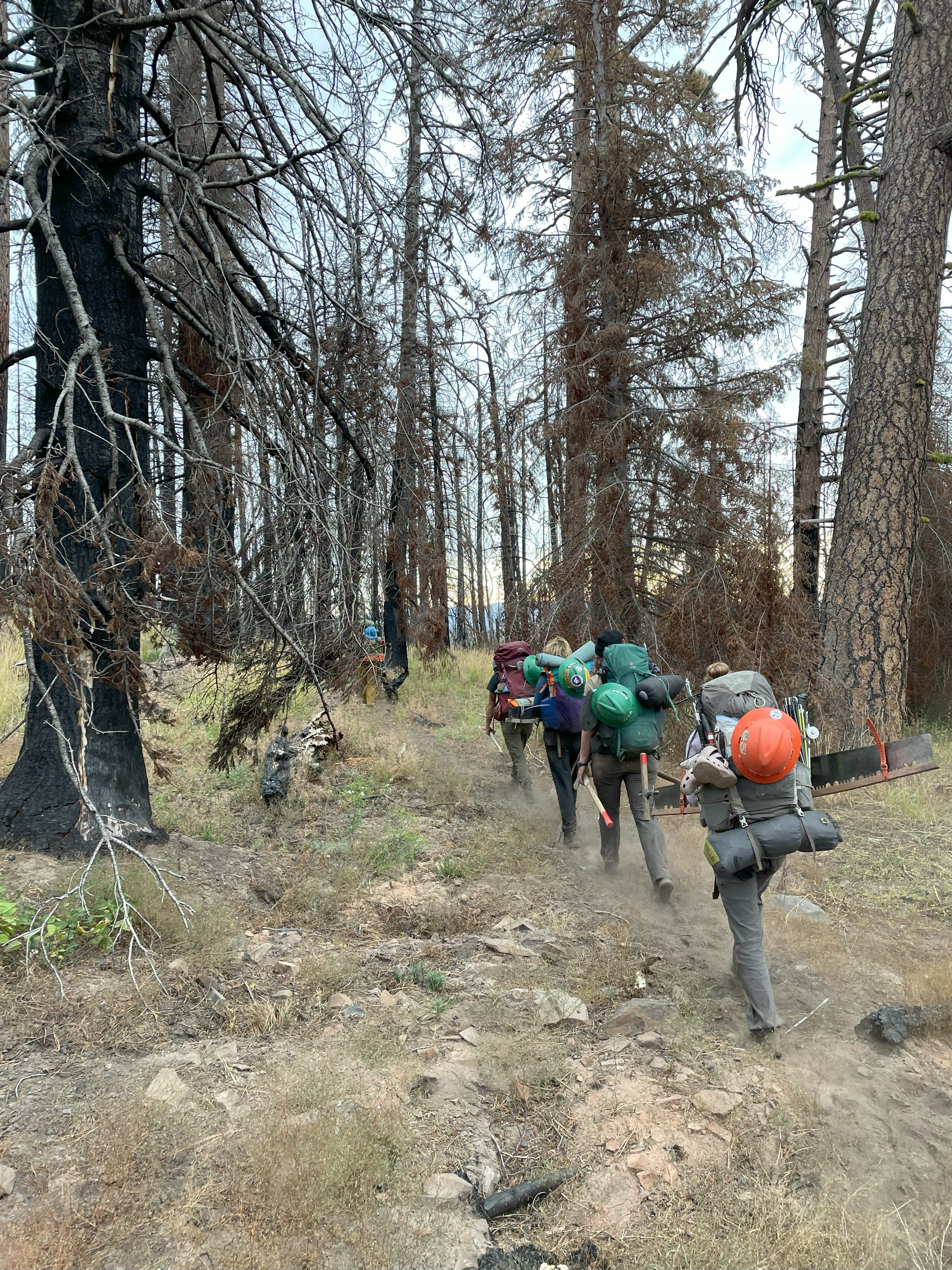 WTA crew hikes out of the William O. Douglas Wilderness at the end of a project in September 2023