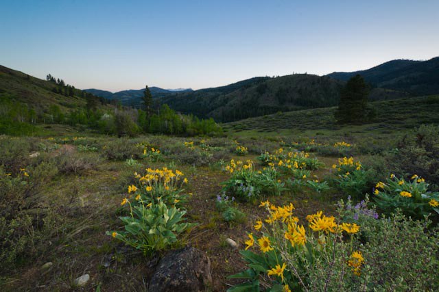 Patterson Mountain. Photo by Aaron Thesien.