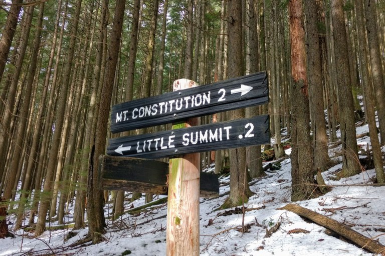 bfralic_Little Summit trail.jpg