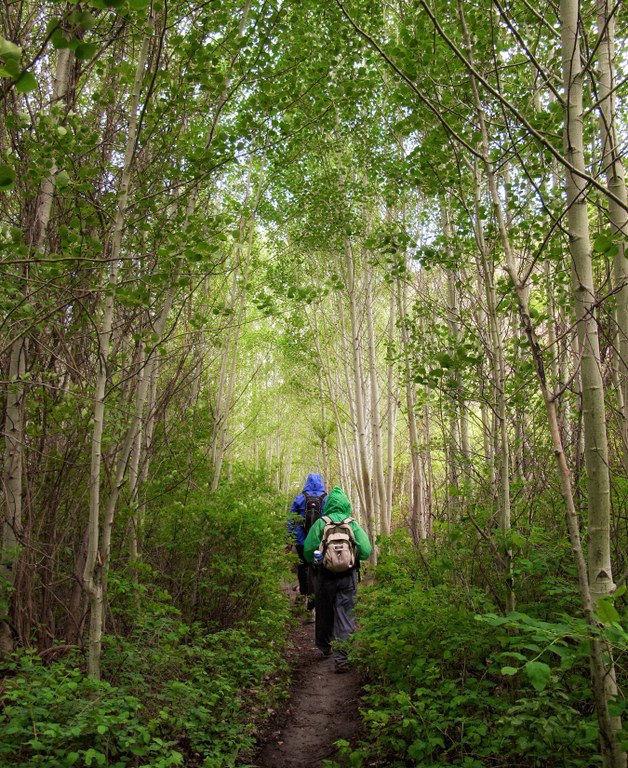 umtanum_maryJoAllen.jpg umtanum_maryJoAllen.jpg