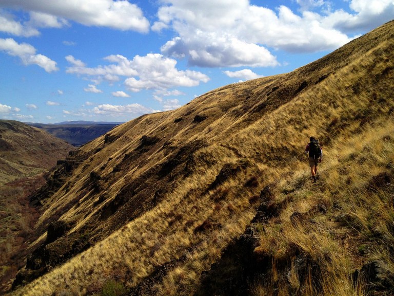 umtanumcreek_SeanAylward.jpg umtanumcreek_SeanAylward.jpg