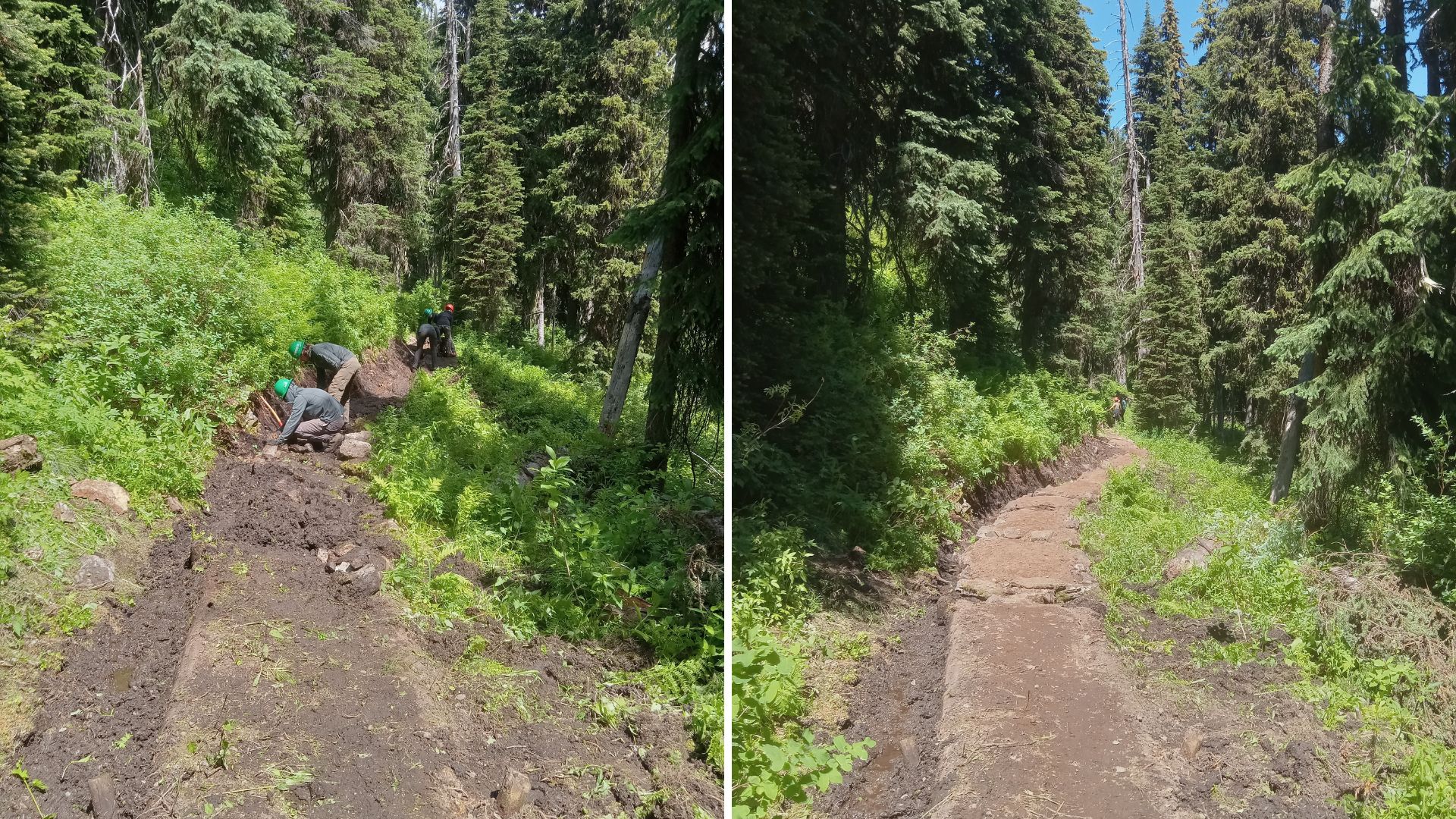 Side by side photos of a section of trail: at left, muddy; at right, dry with added rockwork