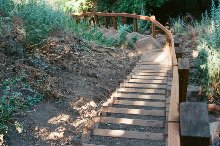 A film image of the staircase winding down a brushed hillside.