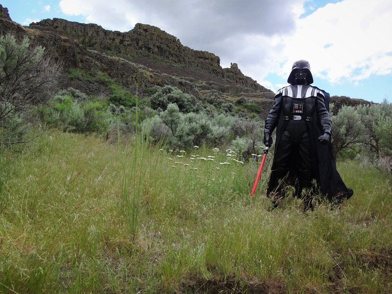 Darth Thaddeus - Lenore Darth Thaddeus - Lenore