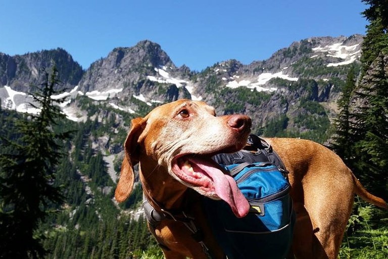 15374945587_e588ef4379_b.jpg 15374945587_e588ef4379_b.jpg