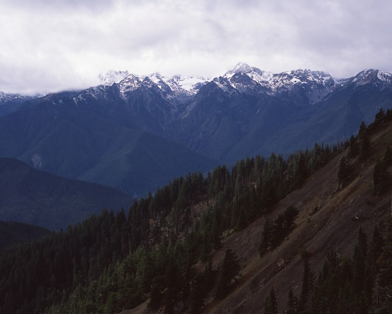 Olympic National Park