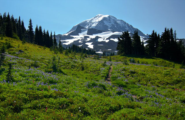 Mount Rainier National Park is one of the areas left underfunded by the recent budget proposal. Photo by Abertino.