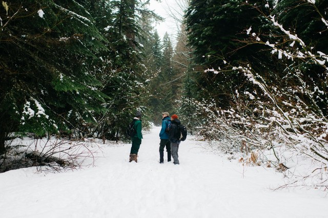 David Moskowitz with volunteers. Photo by Karen Wang. 