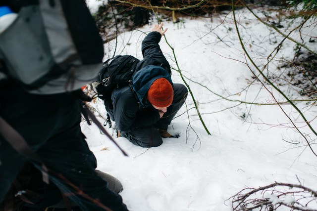 David Moskowitz gets up close to evaluate a set of tracks just south of I-90 near the wildlife bridge site. Photo by Karen Wang. 