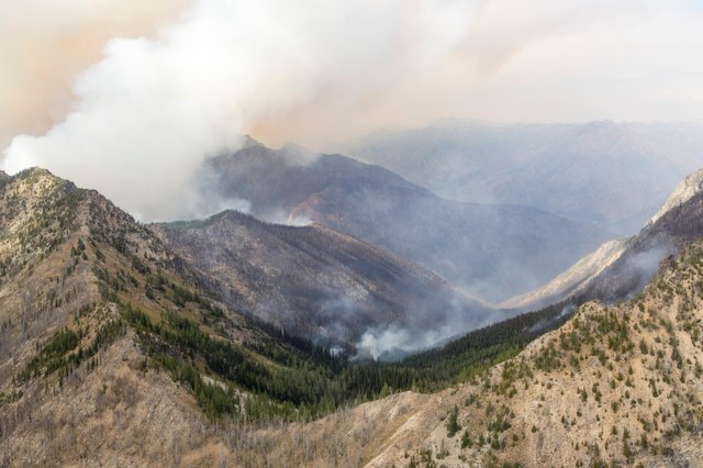 Wolverine Fire. Photo by InciWeb.