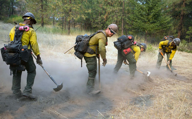 Firefighters construct a fire line in the Wolverine fire earlier this summer. Photo by Kari Greer, USFS.