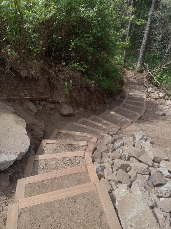 A staircase winds between piles of rubble and vegetation.