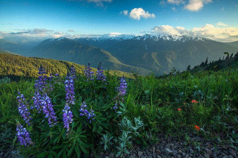 22212235346_dc7c9867be_k.jpg 22212235346_dc7c9867be_k.jpg