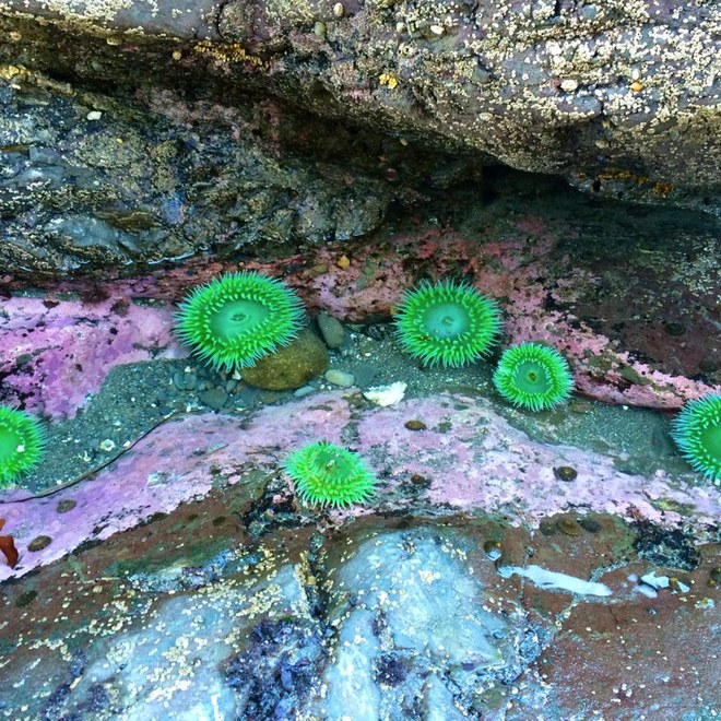 Photo by mountainmama