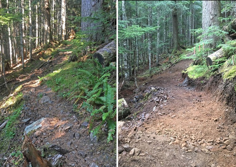 2tunnel creek combosmaller.jpg